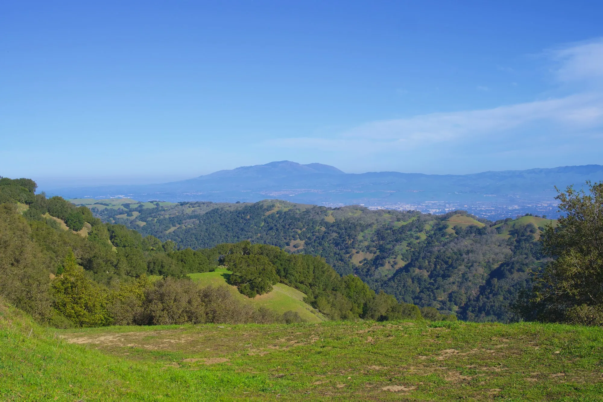 Coastal hills with oak woodland and distant mountains